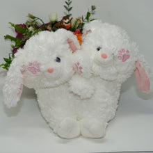 Load image into Gallery viewer, Bunny Twins
