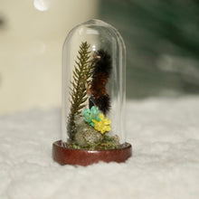 Load image into Gallery viewer, Wooly Bear Terrarium
