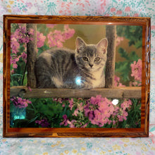 Load image into Gallery viewer, Grey Kitten photograph on wood, resin coated
