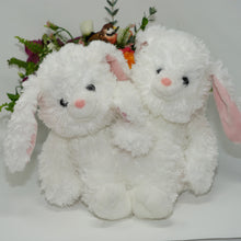 Load image into Gallery viewer, Bunny Twins
